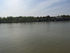 -南汇桃花村