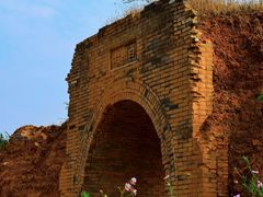 -白鹿原葡萄主题公园