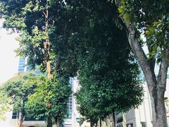 -FairPrice Finest 100AM