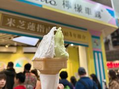 -柠檬车露(卖草地店)
