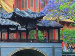 -龙潭水乡