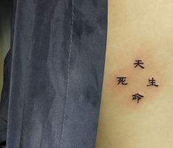 -刺客纹画纹身·洗纹身·穿孔饰品