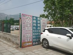 -大自然农场蔬菜草莓采摘园