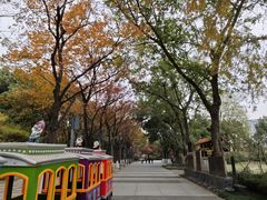 -圩墩遗址公园