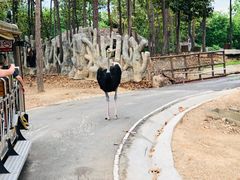 -清迈夜间动物园