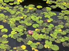 -胖子鱼·天水麻辣鱼火锅(秦州407店)