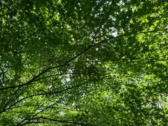 -共青国家森林公园-售票处