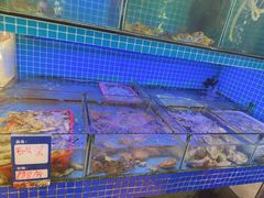 -江南村海鲜馆(洞头店)