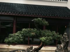 -苏州吴宫泛太平洋酒店