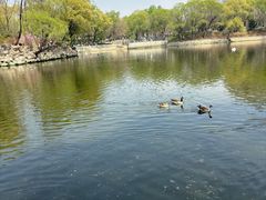 -石家庄市动物园