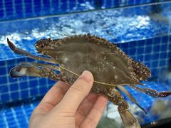 -碧海银沙海鲜餐厅(恒大海上威尼斯店)
