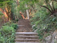 -九曜山