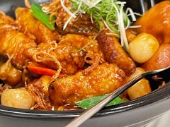 黑蒜斑腩煲-伯衡55·吉品轩(乌鲁木齐南路店)