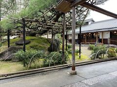 -中村藤吉(本店)