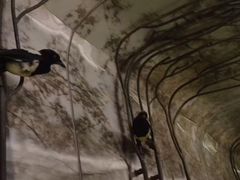 -杭州逸酒店(西湖武林店)