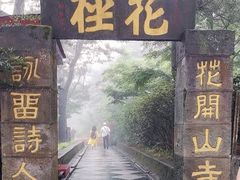 -庐山风景区花径公园