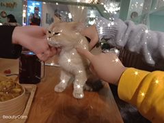 -猫小院猫主题餐厅(三里屯店)