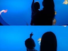 -太平洋海底世界