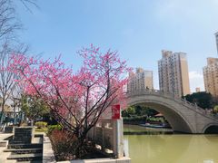 -三林本帮馆(中林街店)