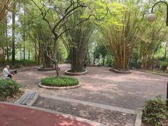 -晓港公园