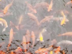 -西江印象酒楼