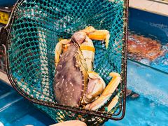 -鲜炉季港式打边炉(尚海湾店)