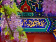 -北京国子监胡同