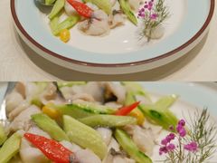 -丁老爷子苏香圆