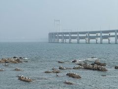 -黑石礁公园