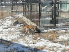 -新疆天山野生动物园