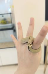 -Moni星球萌宠·小马宝莉·灵蛇·高端高阶全萌宠互动体验俱乐部(红豆国际广场店)