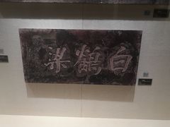 -白鹤梁水下博物馆