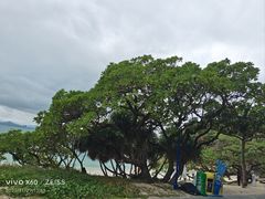 -三亚蜈支洲岛旅游区