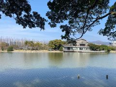 -江心屿景区