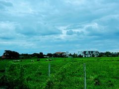 -Chom Cafe and Restaurant