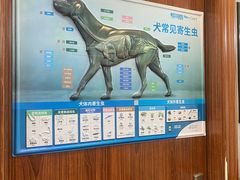 -瑞派动物医院·绝育·犬猫全科·预防医学(光景江南中店)