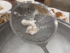 -正能量脆肉鲩火锅