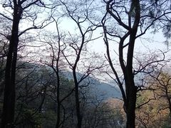 -泰山风景名胜区