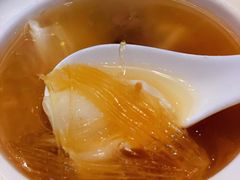 鱼翅鱼肚汤-新君凯酒家