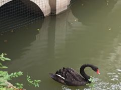 -南汇桃花村