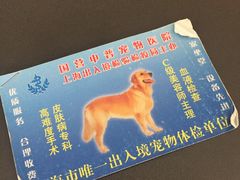 -申普宠物医院·心脏介入·心血管微创(总院)