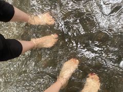 -桤木河湿地公园