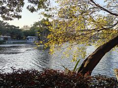 -荔湾湖公园