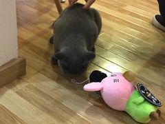 -壹人壹像工作室(购物公园店)