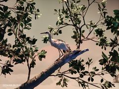 -中国湿地博物馆