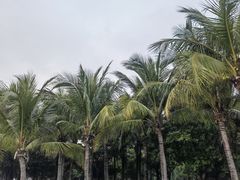 -深圳湾公园(南山区)