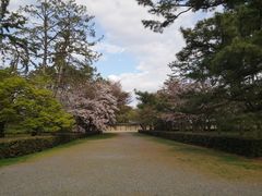 -京都御所