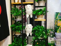 -313羊庄鲜羊火锅·鲜羊肉烧烤(李村店)