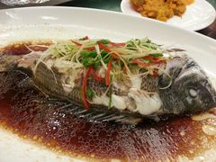 清蒸美味黑鲷王-好望角大饭店(肇嘉浜路店)