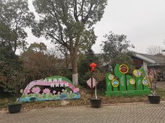 -上海海湾国家森林公园